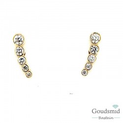 Gouden oorknoppen zirkonia fantasie